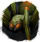 Plik:Pająk leśny.png