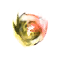 Magniorb R'xen.png