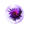 Biorb M'ren.png