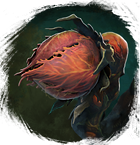 Plik:Amorfa.png