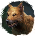 Plik:Pies.png