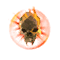 Biorb Li'at.png