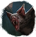 Plik:Nietoperzowate.png