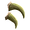 Pazury grizzly