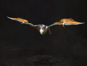 Test gif.gif