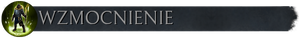 Pasek z flaga WZMOCNIENIE.png