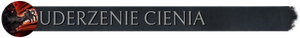 Pasek z flaga uderzenie cienia.png