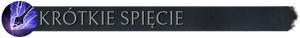 Pasek z flaga KRÓTKIE spięcie.png