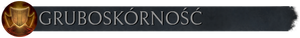 Pasek z flaga gruboskórność.png