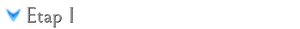 Etap 1PT.png