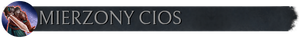 Pasek z flaga mierzony cios.png