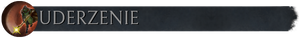 Pasek z flaga uderzenie.png