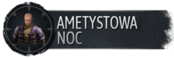 Ametystowa NocS.png