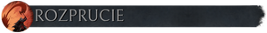 Pasek z flaga rozprucie.png