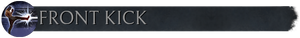 Pasek z flaga Front kick.png