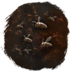 Muchy