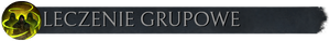 Pasek z flaga leczenie grupowe.png