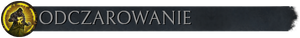 Pasek z flaga odczarowanie.png