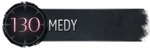 MedyS.png