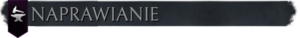 NaprawaT.png