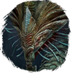 Rary – Wiki BR