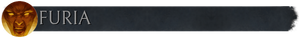 Pasek z flaga furia.png
