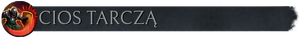 Pasek z flaga Cios tarczą.png
