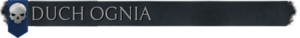 Duch Ognia flaga.png